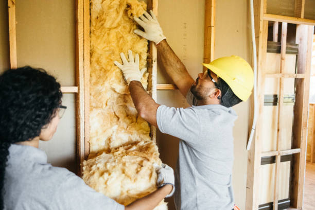 Types of Insulation We Offer in Lavonia, GA